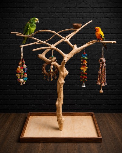 Natural java wood parrot tree - wood,