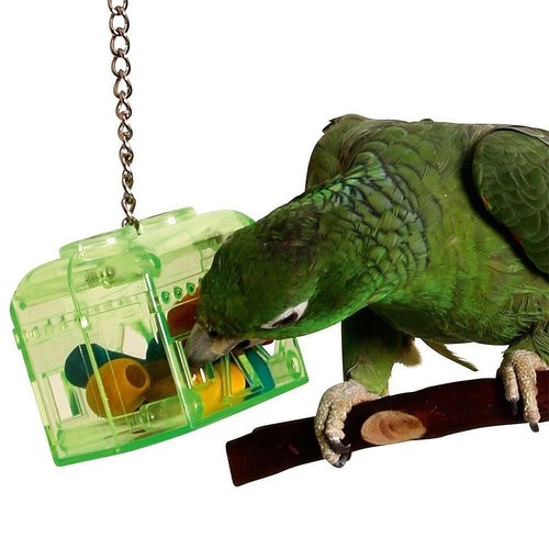 Happypet treasure hunt acrylic - happypet,