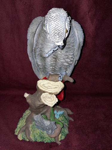 African grey parrot gabon - african,