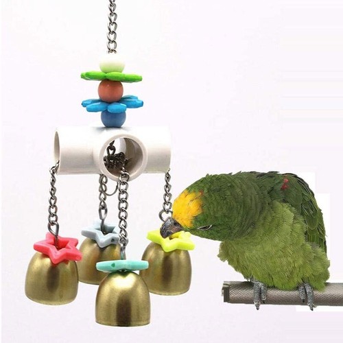 Parrot bird chew - uk,