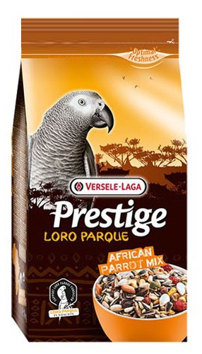 African grey parrot food - african,