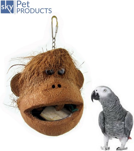 Java coco monkey large parrot - java,