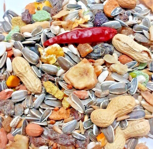Deluxe parrot with fruit - parrot,