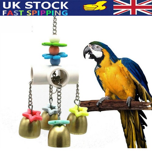 Bird cage biting - biting, for