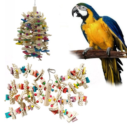 Parrot chewing toys bird - parrot,