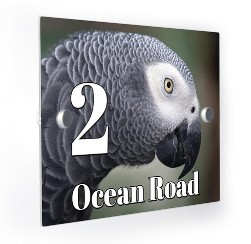 African grey parrot - african,
