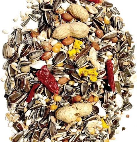 Parrot essentials african grey - essentials,
