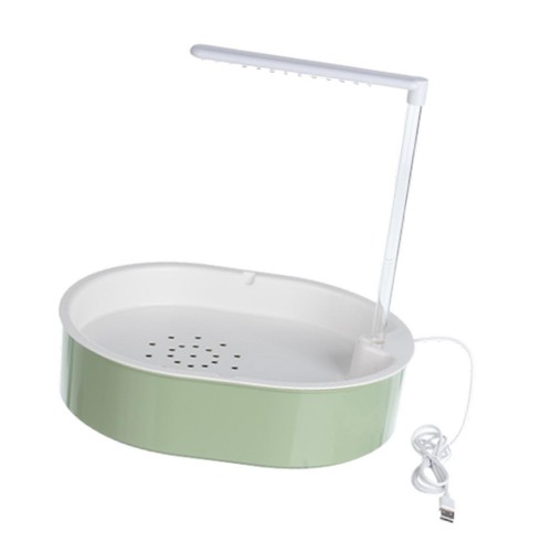 Parrot bathtub birds - parrot,