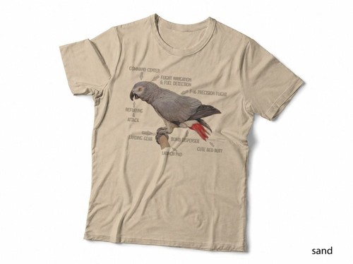 Anatomy african grey - of, an