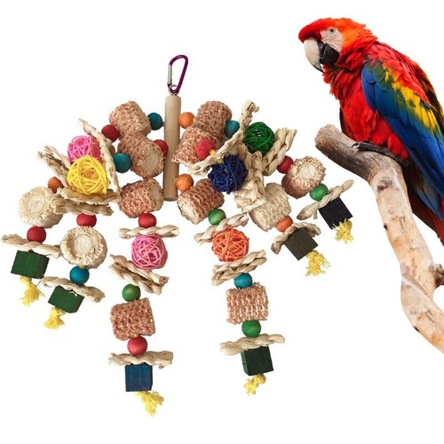 African grey macaws cockatoos - grey,