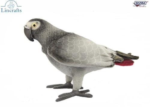 African grey parrot 7986 - parrot,