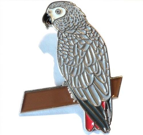 African grey parrot perch - african,