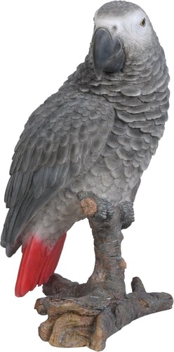Vivid arts african grey - arts,