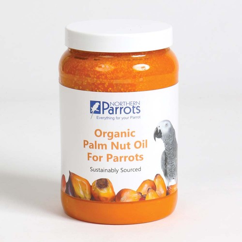Organic parrot palm - parrot,