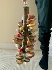 Giant African Grey Parrot