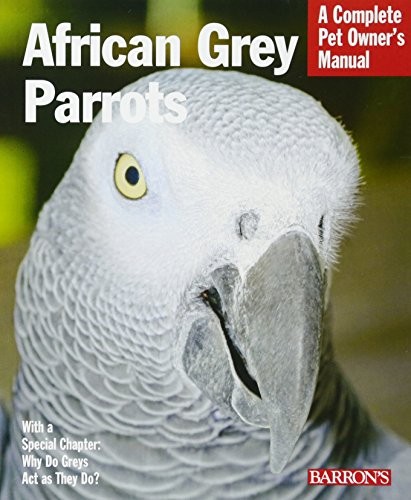 African grey parrot barron - african,