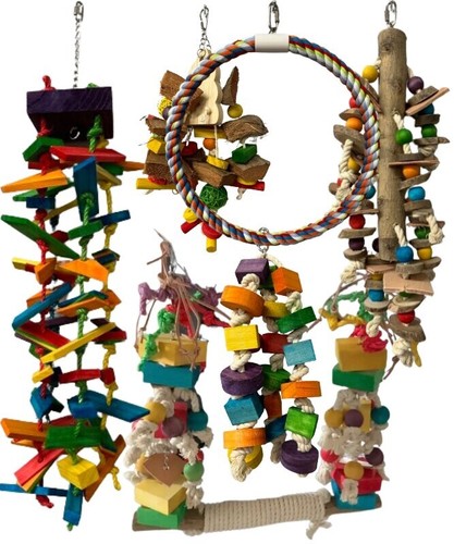 The big one parrot - one, toy