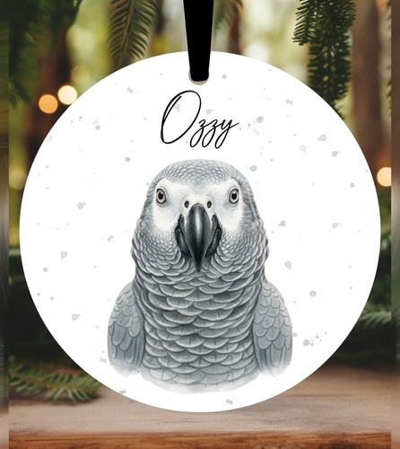 African grey parrot christmas - grey,