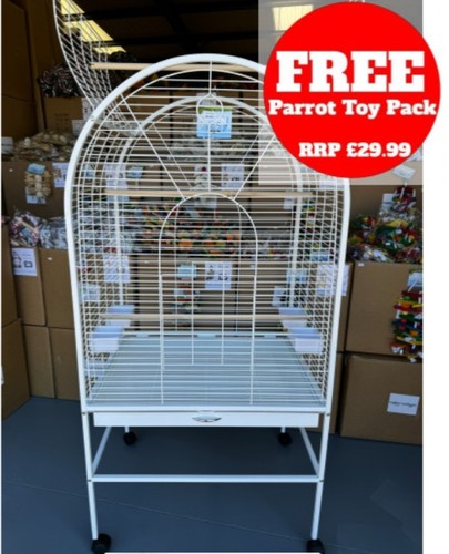 Parrot supplies daytona - parrot-supplies,