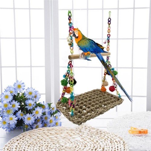 Parrot swing african - african, grey