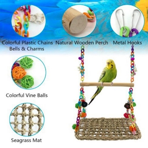 Parrot swing african - *parrot,