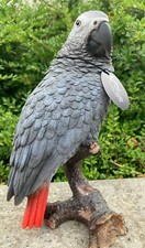 African Grey Parrot Vivid Arts