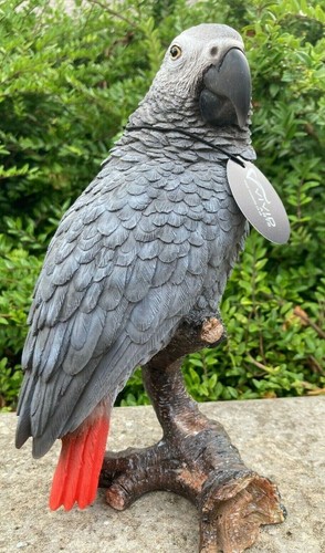 African grey parrot vivid arts - african,