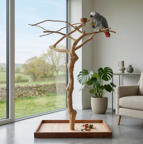 Large natural java wood parrot - java,