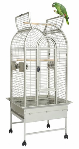 Parrot supplies california top - parrot-supplies,