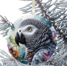 African Grey Parrot Hanging