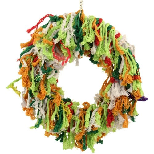 Rainbow ring parrot - ring,