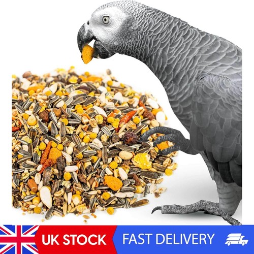 African grey parrot food 2kg - parrot,