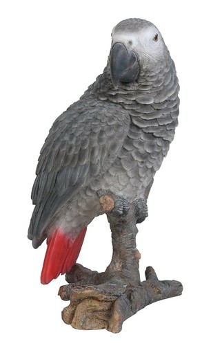 Vivid arts african - vivid, grey