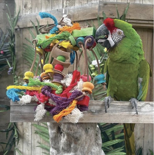 Sisal invader parrot toy - invader,