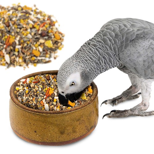 Parrot essentials african grey - parrot,