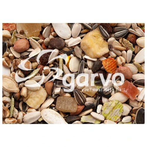 Parrot food african grey - parrot,
