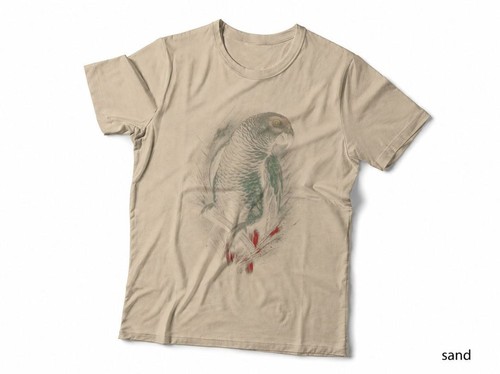 African grey parrot - african,