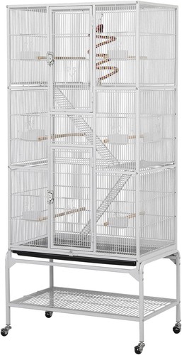 Large african grey parrot bird - african,